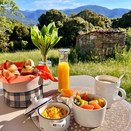 Tradition Corse Et Modernite A Cantina Granace Εξωτερικό φωτογραφία