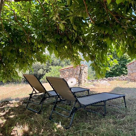 Tradition Corse Et Modernite A Cantina Granace Εξωτερικό φωτογραφία