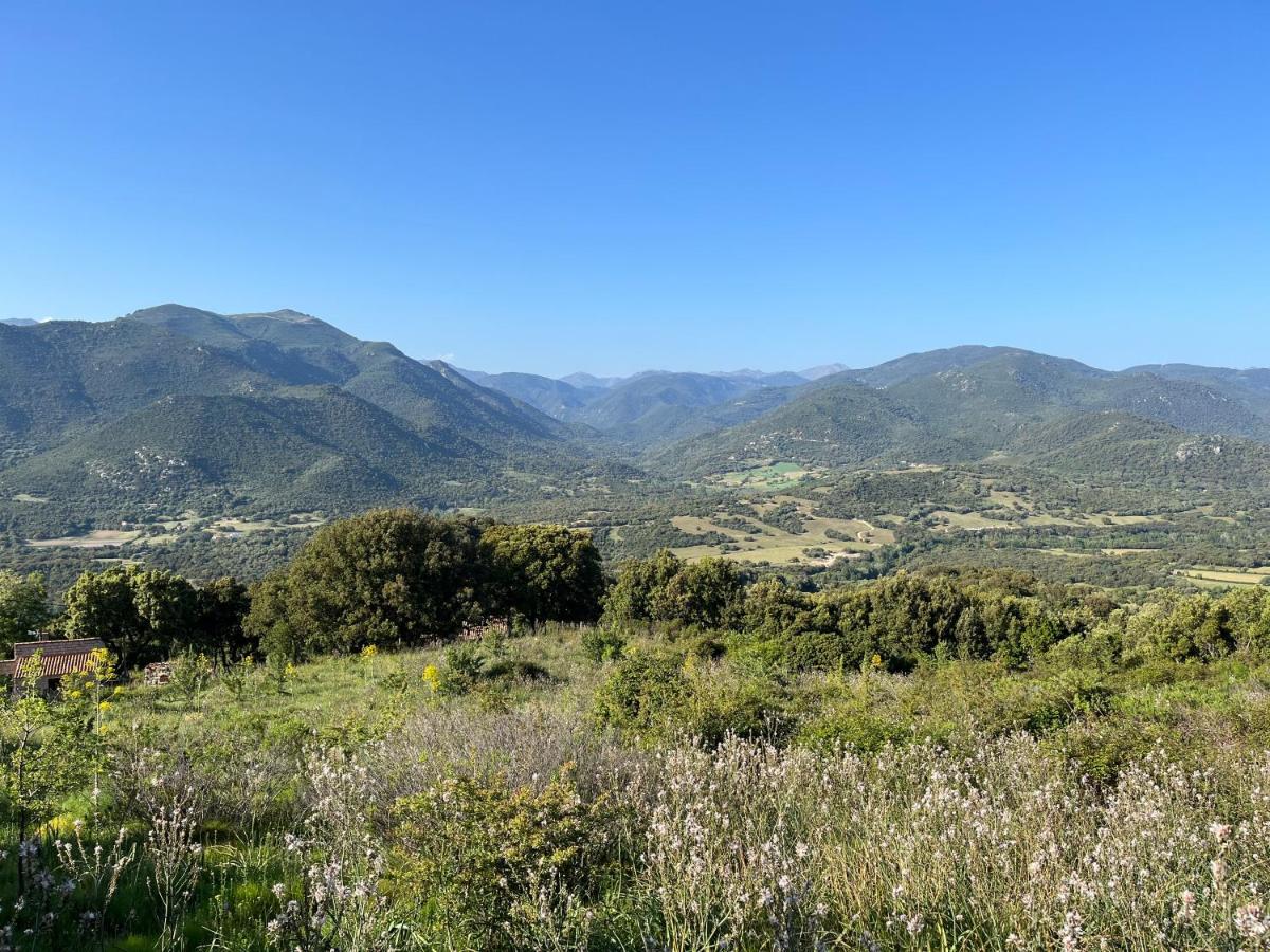 Tradition Corse Et Modernite A Cantina Granace Εξωτερικό φωτογραφία