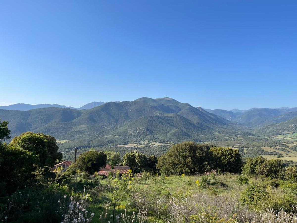 Tradition Corse Et Modernite A Cantina Granace Εξωτερικό φωτογραφία