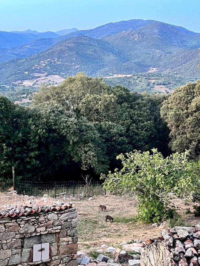 Tradition Corse Et Modernite A Cantina Granace Εξωτερικό φωτογραφία