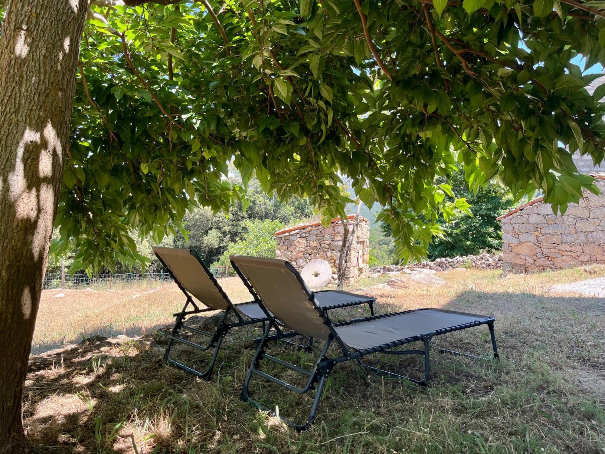 Tradition Corse Et Modernite A Cantina Granace Εξωτερικό φωτογραφία